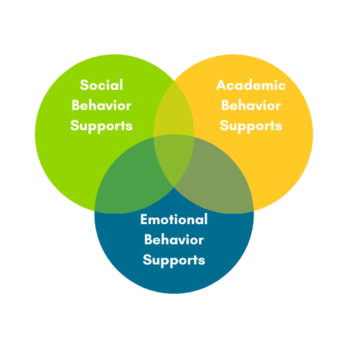 Understanding and Using Social Emotional Behavior (SEB) Interventions ...